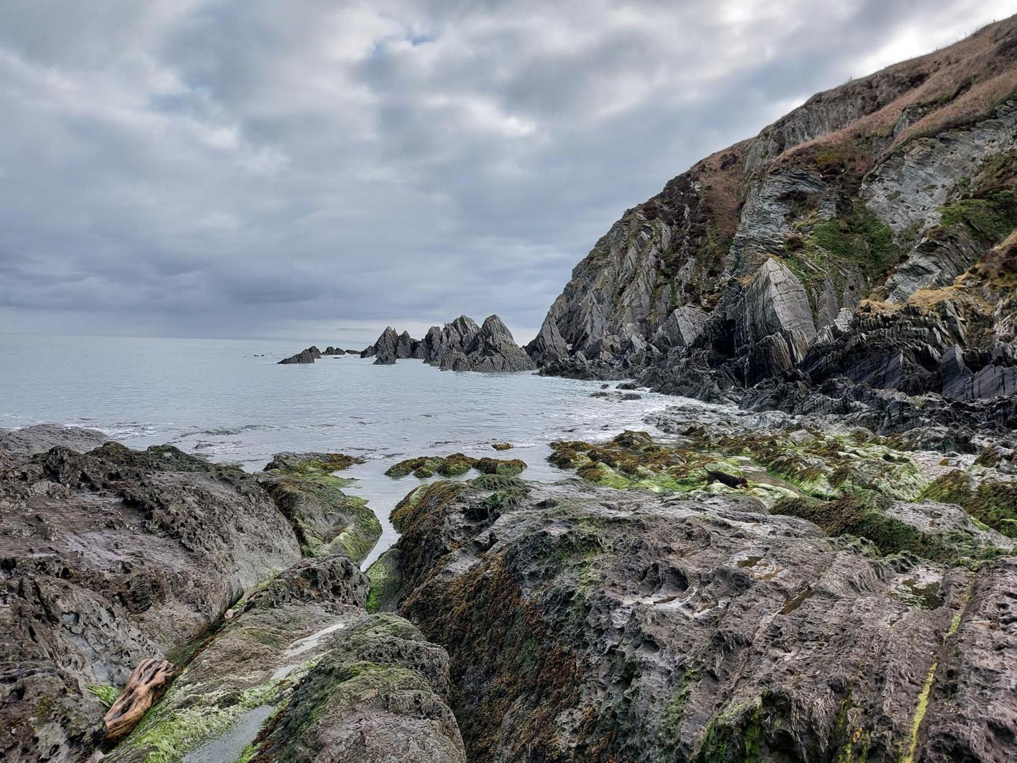 Flat 1 High Tide House, Mortehoe - Beautifully Designed Ground Floor Flat With Sea Views And Garden Экстерьер фото